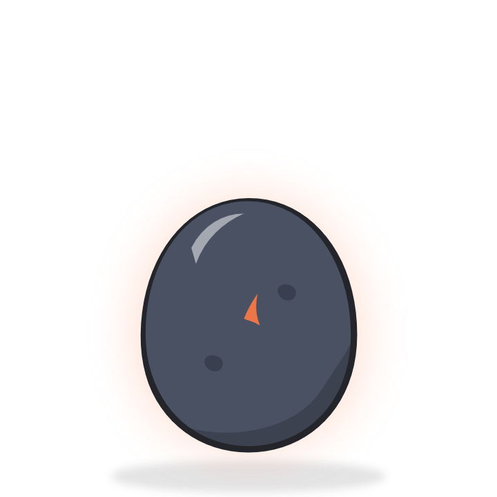 The egg